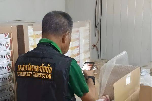 Food ImportExport Services